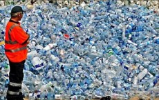 Plastic Bottles