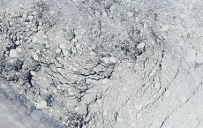 Arctic Sea Ice Pack