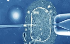 New Technique 'In Vitro Activation' Can Help Infertile Women 