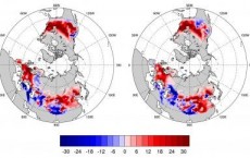 Northern Hemisphere Snow Cover Maps