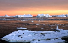 Antarctic Ice