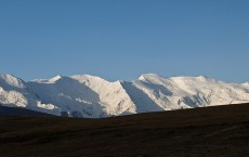 Barley used in craft beer, Aztec amaranth, and Tajikistan wheat sent to Arctic Seed Vault