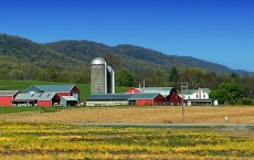 Farm with Crop Supply