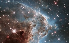 Monkey Head Nebula