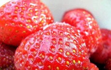 Strawberries Arrest Memory Loss in Alzheimer’s Patients