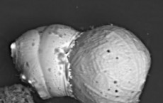 'Tectonic' Effects of the Collision of 1 Spherule with Another During the Cosmic Impact