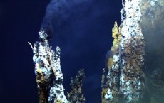 Hydrothermal Vent