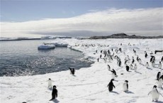 Antarctic Ice