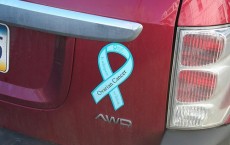 Ovarian cancer