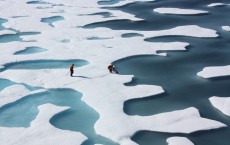 Arctic Melt Ponds