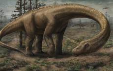 Dreadnoughtus