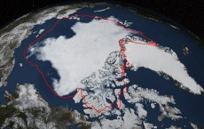 Arctic Sea Ice