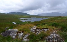 Peat Bog Ireland